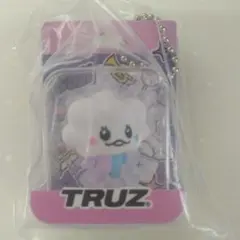 TRUZ ブリスターチャームコレクションSOM キーホルダー