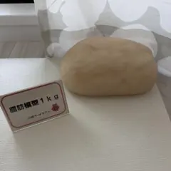 川崎フードモデル　脂肪模型 1kg