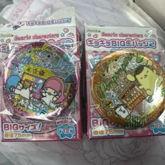 サンリオキャラクターズ　キラキラBIG缶バッジ2