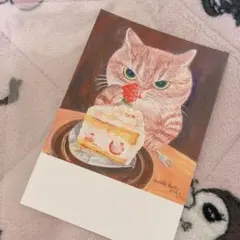 ポストカード　猫