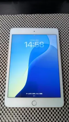 iPad Mini 第5世代　本体+箱
