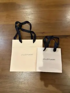 JILL STUART ショップ袋 大・小セット