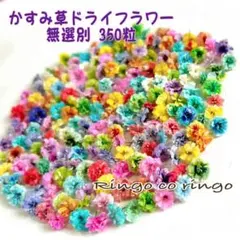 ～彩夜～Saiya～様 リクエスト 2点 まとめ商品