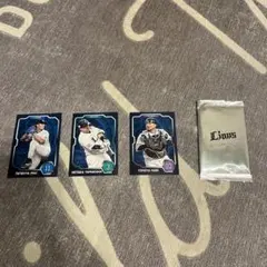 埼玉西武ライオンズ トレーディングカードセット