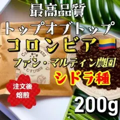 2025年最新】芸者 カップの人気アイテム - メルカリ