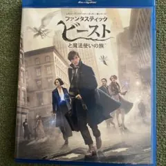 ファンタスティック・ビーストと魔法使いの旅 ブルーレイ&DVDセット('16英…