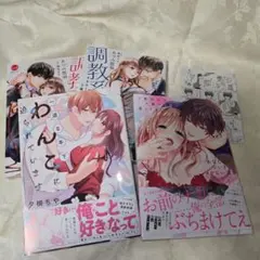 変更】ネコママ プロフ必ずお読み下さい様 リクエスト 2点 まとめ商品