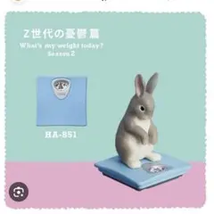 今日は何キロ？season2 タニタ×パンダの穴　ウサギ