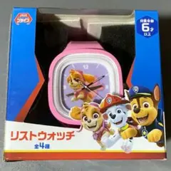 パウパトロール　リストウォッチ　腕時計　スカイ