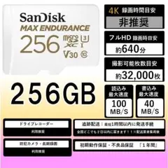 35.サンディスクMax microSDカード256GB .49