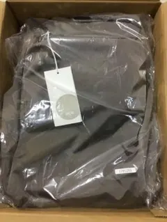 新製品❣️エース　リュック レディース　大容量18ℓ 超軽量リュック