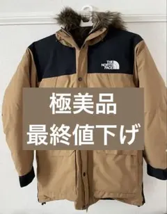 【最終値下げ】THE NORTH FACE MOUNTAIN DOWN COAT