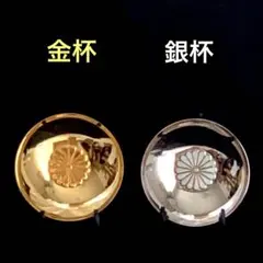 2025年最新】24Kgp 金杯セットの人気アイテム - メルカリ