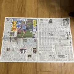2026年6月8日 デイリースポーツのサムネイル