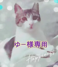 つまみ細工髪飾り 成人式 B45白金 オプション 水引 金箔