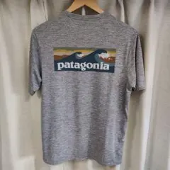 パタゴニア キャプリーンクールデイリー S BLAF グレー 45355