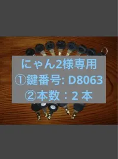 にゃん2様専用 ①鍵番号: D8063 ②本数：2 本