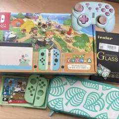 Nintendo Switch どうぶつの森 限定品　セット　コントローラー付き