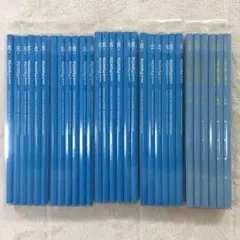 最終値下げ＊訳あり＊ 三菱鉛筆 男の子 5ダース 60本 硬度2Bのサムネイル
