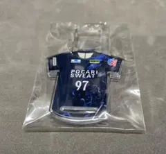 Item thumbnail for item 80fd66a5-eed8-4524-a086-ccd930e7c07b