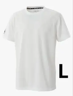 Item thumbnail for item 60c35a21-0ec5-49d0-b5ed-97a79f0c5814