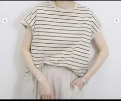 サマンサモスモスブルー　USAコットンフレンチスリーブTシャツ　ブラウン