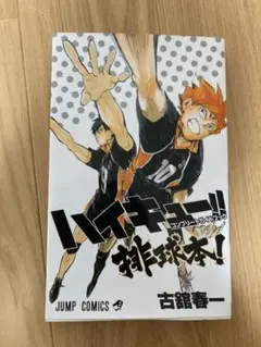 ハイキュー!! コンプリートガイドブック 排球本!