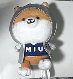ラストマイル ポリまる MIU404