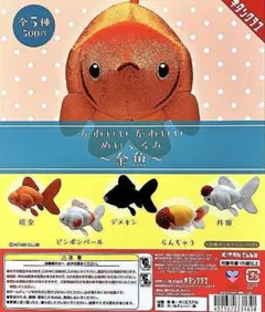 2026年最新】らんちゅう ぬいぐるみの人気アイテム - メルカリ