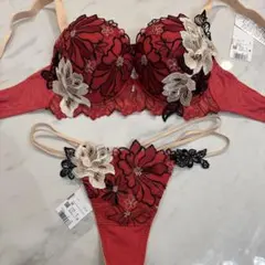 プラダを着た悪魔☆サルート☆新品☆ブラ☆タンガ☆ソング☆M☆96