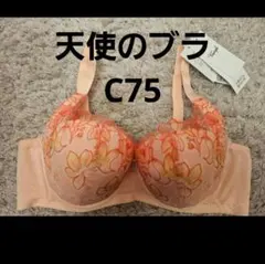 261050 トリンプ　天使のブラ　魔法のハリ感 c75 ブラジャーのサムネイル