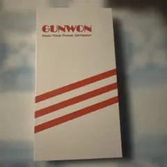 新品 GUNWON iPhone 17 Pro Max ケース ブルー