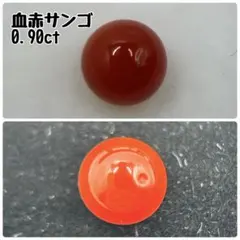 2025年最新】高知県産サンゴの人気アイテム - メルカリ