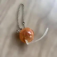 ギガントキプリス　スイング