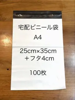 宅配ビニール袋 大きいA4 100枚入り 梱包袋 宅配袋 防水 梱包 - メルカリ