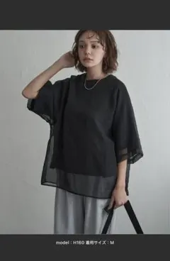 シアー素材 ラグラン半袖Tシャツ ブラック Fサイズのサムネイル