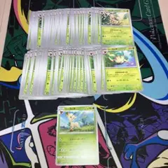 レジェンドキラのみ 50枚大量まとめ売り カメックス リーフィア ピチュー リーフィア 100枚まとめ売り 各50枚 わかばのめぐみ おまけ - メルカリ