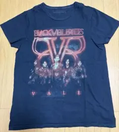 2000s】MUDVAYNE バンドTシャツ Hanesボディ 00sメタル - メルカリ