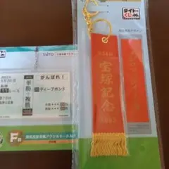 宝塚記念 メジロマックイーン キーホルダー馬券風クリアキーホルダー2点のサムネイル