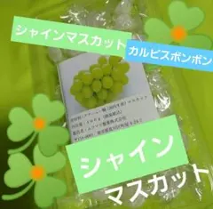 2026年最新】カルピスボンボンの人気アイテム - メルカリ