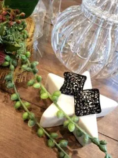 ブラック変形カット　ラインストーンスタッドピアス