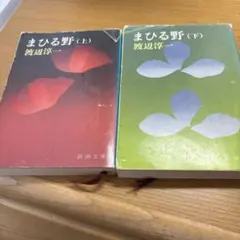 まひる野 (上・下) 渡辺淳一