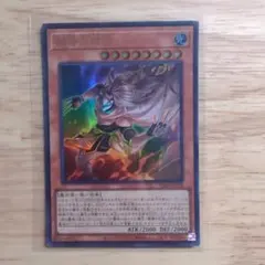 【新品】遊戯王OCGカードVJ「チャプレーンドラグマ」