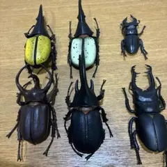 リアル昆虫模型セット
