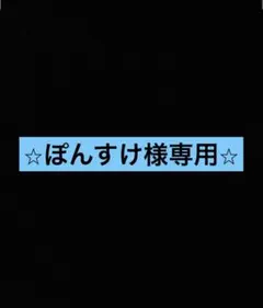 ⭐︎ぽんすけ様専用ページ⭐︎