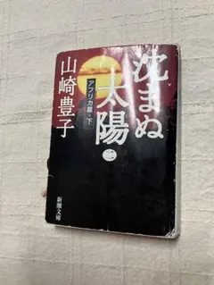 山崎豊子　沈まぬ太陽　アフリカ編・下