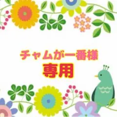 【新品】犬　靴下　5足セット　レディース　22〜25㌢