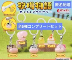 【フルコンプ】牧場物語めじるしアクセサリー　全6種セット