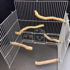 Item thumbnail for item 718c81cd-4c62-42e2-afcb-b0120ef1478a