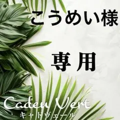 こうめい様 リクエスト 2点 まとめ商品